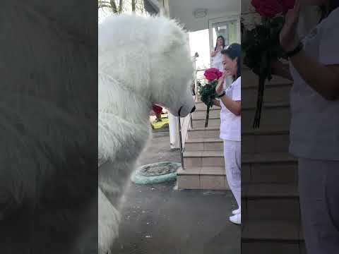 Неожиданный сюрприз для жены!!!