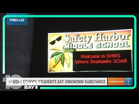 3 Safety Harbor Middle School students 'not feeling well' after ingesting unknown substance