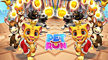 Pet Run Gameplay Walkthrough part-1