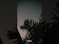 Garoor Duniya Dhoka Ha Islamic Status Whatsappstatus Fani Duniya ك ل م ن ع ل ي ه ا ف ان Garoor Duniya Dhoka Ha Islamic Status Whatsappstatus Fani Duniya ك ل م ن ع ل ي ه ا ف ان