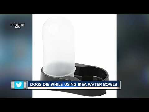 Vídeo: IKEA Recalls Dispensador De água Para Animais De Estimação Após A Morte De Dois Cães