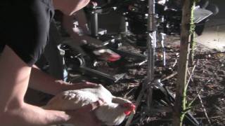 Making Of The Video - Lower Hell The Requiem