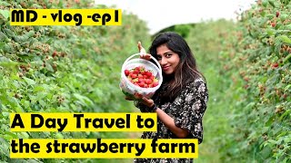 MDvlog-EP1 / A day travel to Millet Farm