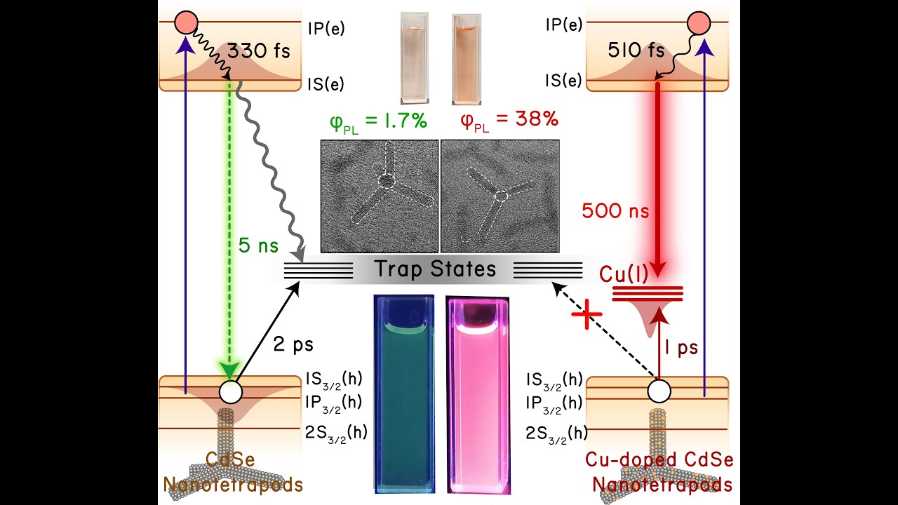 Cu doping enhances the quantum yield and lifetime in CdSe Nanocrystals ...