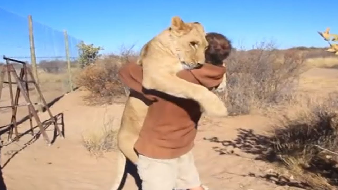 15 Most Heartwarming Animal Reunions with Owners