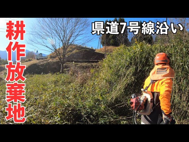 小田山麓を歩く bBfydpRcV36EDgQFigwX.jpg?w=700