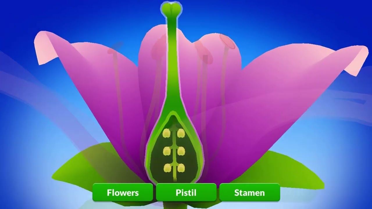 Plant Reproduction Strategies YouTube