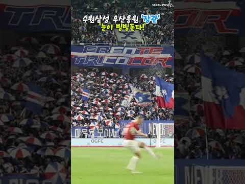 빅버드 우산응원 '장관이네!'