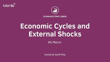 External Shocks and Economic Cycles