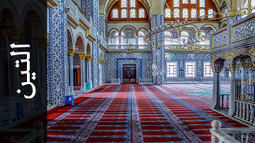 سورة التين خليفة الطنيجي Surah At Tin Khalifa Altunaiji