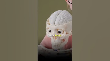 Multi-tasking is a myth!!!