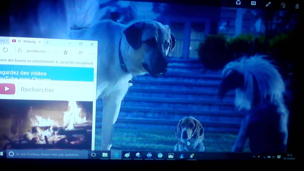 Comme Chien Et Chat Vf Youtube