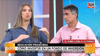 Educación financiera: ¿qué es un fondo común de inversión y su rentabilidad? I A24