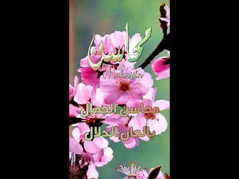 اغنية باسم محاسن الجمال بالحان الدلال 