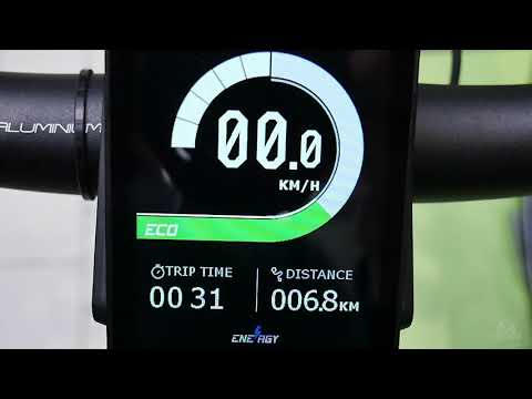 DS103 Display Topology für Brose E-Bikes - kurze Einleitung