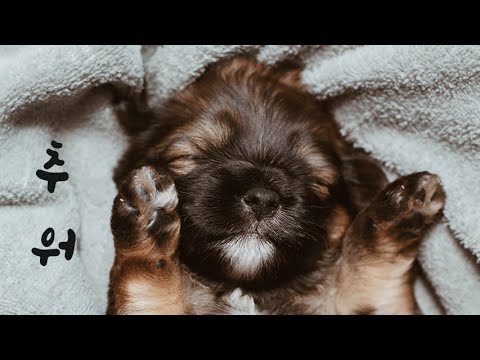 춥다면서 여자친구 품에 파고드는 남자친구ASMR