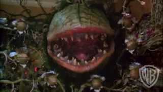 Little Shop of Horrors - Trailer 62