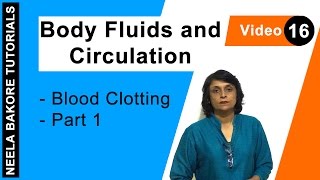 Body Fluids and Circulation | NEET | Blood Clotting  Part 1 | Neela Bakore Tutorials