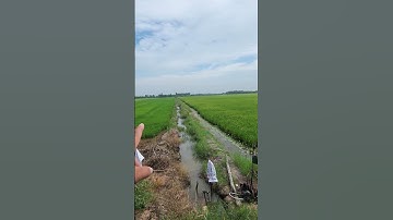 cần bán 25 công đất giá 100tr 1 công huyện Mộc Hóa tỉnh Long An  lh0816556639 #batdongsanhomnay