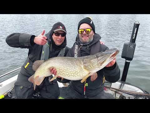 Video: Vinkkejä monnikalastukseen järvissä