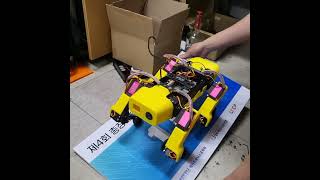 SpotMicro AI - Balancing Test