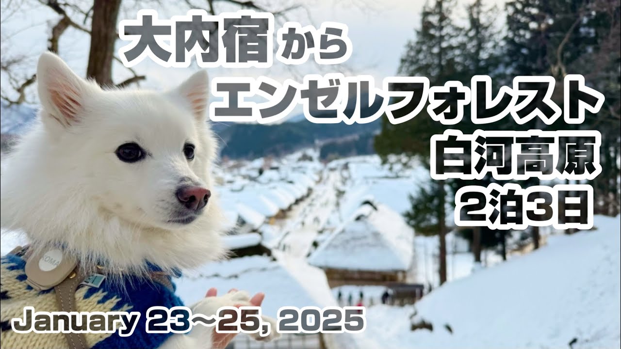 【コマの旅行】エンゼルフォレスト白河高原へお誕生日旅行　大内宿で素晴らしい景色を見てからお宿に向かいます。