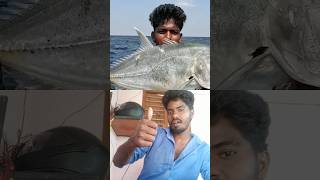 #mettur meenavan shorts #fishing #fish #comedy #cuttingskills #