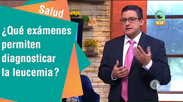 ¿Qué muestra la leucemia en los análisis de sangre?