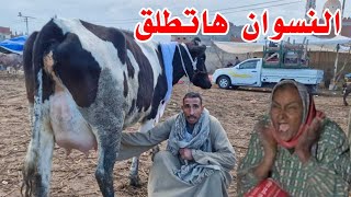 البقره طلقت النسوان ومنها لله اللي كانت السبب في سوق قطور حذرتكم ١٠٠ مره ومسمعتوش كلامي