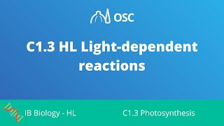 C1.3 HL Light Dependent Reactions [IB Biology HL]