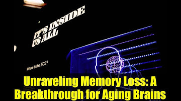 Unraveling Memory Loss: A Breakthrough for Aging Brains