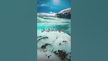 واتس اب قران كريم القارئ ياسر دوسري (سوره المائدة)