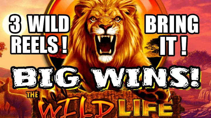 Wild Life Slot Machine ( BIG WINS! ) Max Bet Bonuses!