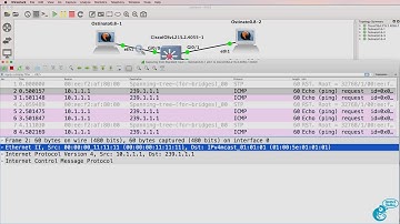 GNS3 Talks: Ostinato Packet Generator - Multicast traffic: what happens? (Ostinato Part 3)