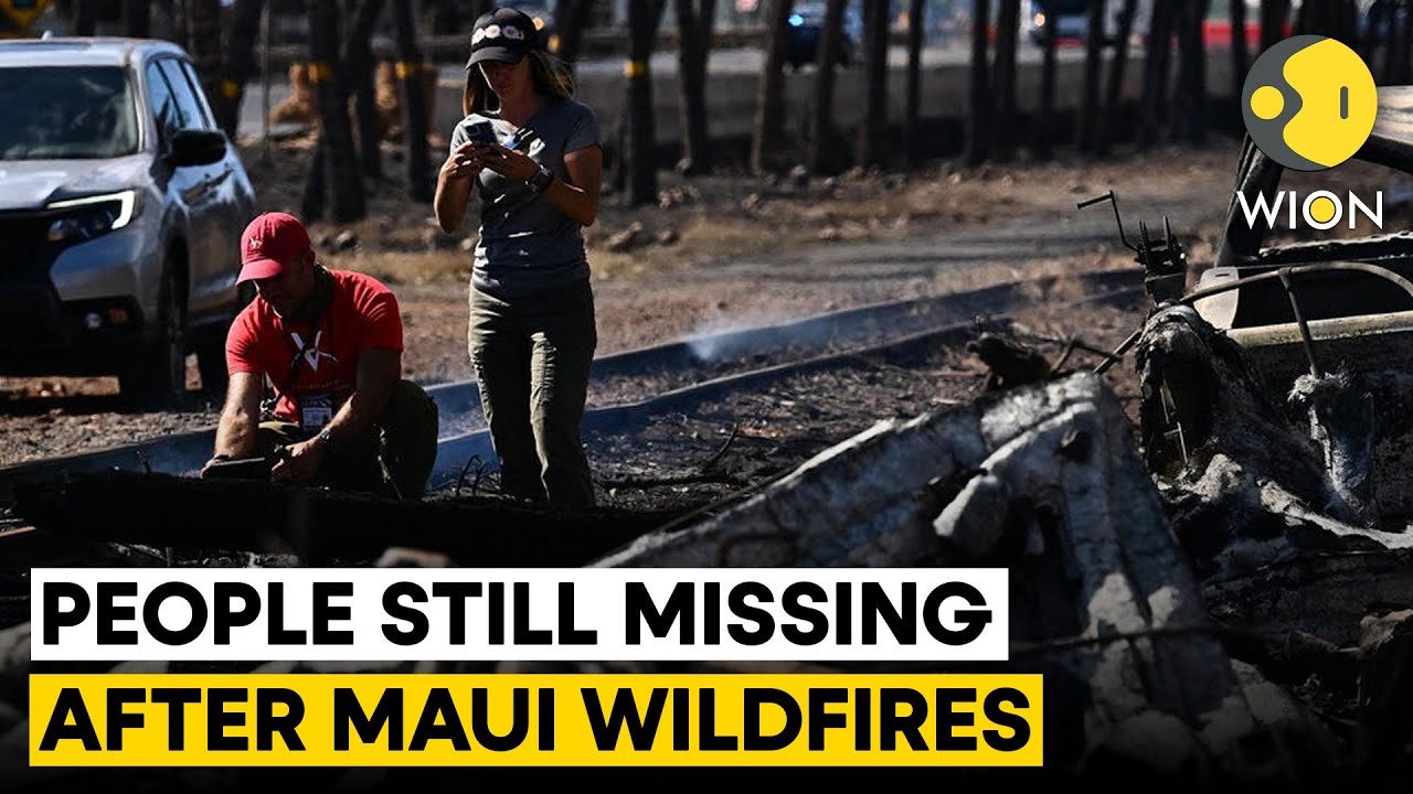 Hundreds still missing in Hawaii deadly wildfires | WION Originals