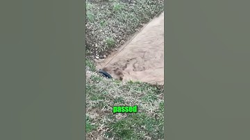 How did he pass the chain THROUGH !👀