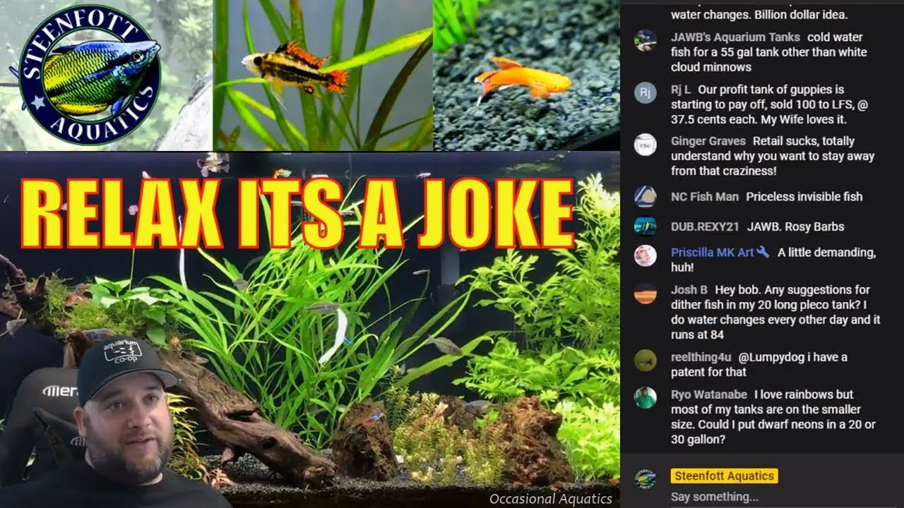 cichlid aquarium plants Labor Day Sale, use code Bigsteen for 100% off my online store!!