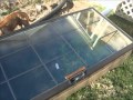 Cold Frame - Cheap - NormalGuyDIY Cold Frame - Cheap - NormalGuyDIY