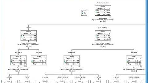 IBM SPSS DecisionTrees Demo