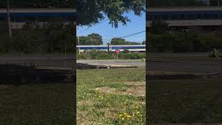 NC 30th Anniversary Amtrak Piedmont NC #trainspotting #railfanning #shortsvideo