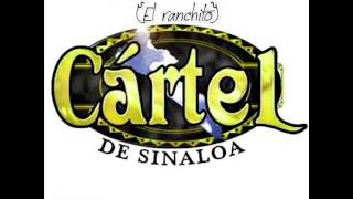 Video thumbnail of "Grupo Cartel - El Ch0l0 (En Vivo)"
