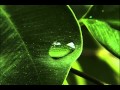 Tahta - Aku Masih Di Sini