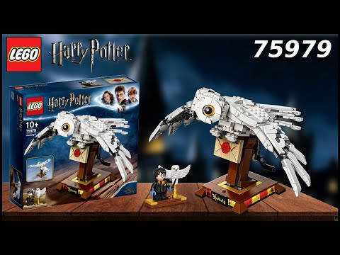 HEDWIG, 75979