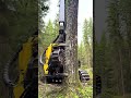 Controlled power in the Finnish forest 🌲⚙️ Real machines. Real work. Real sounds. 🔊🇫🇮 John Deere 127