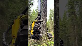 Controlled power in the Finnish forest 🌲⚙️ Real machines. Real work. Real sounds. 🔊🇫🇮 John Deere 127