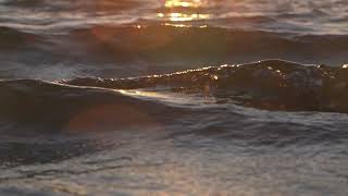 Golden Waves Sun Rise STOCK FOOTAGE @yeskaystudio