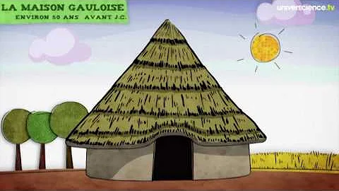 Comment a évolué l'habitat ?