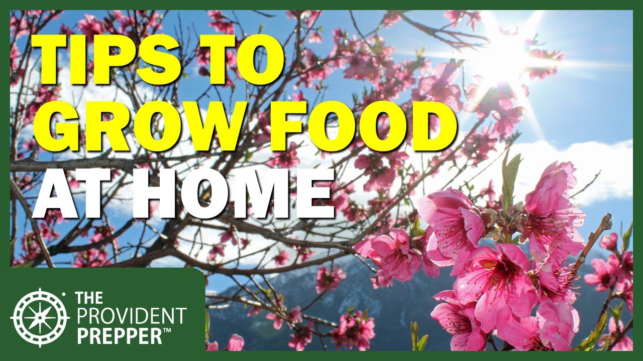 Take Control of Your Food Supply and Grow Food at Home - YouTube