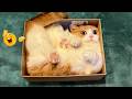 Funny Cats Compilation 2026🐈| TRY NOT TO LAUGH – Hilarious Cat Moments You Can’t Ignore 🤣🐱