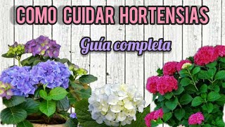 COMO CUIDAR HORTENSIAS /TRUCOS Y CONSEJOS PARA CAMBIAR EL COLOR 😉.